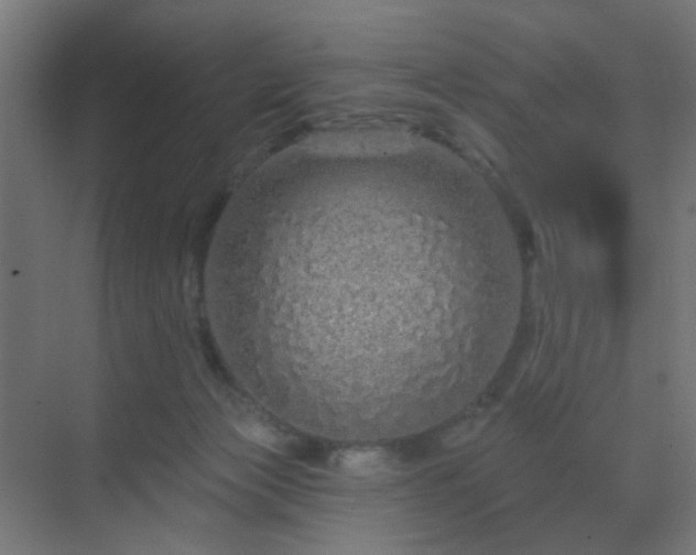 X0000069790173200605261706