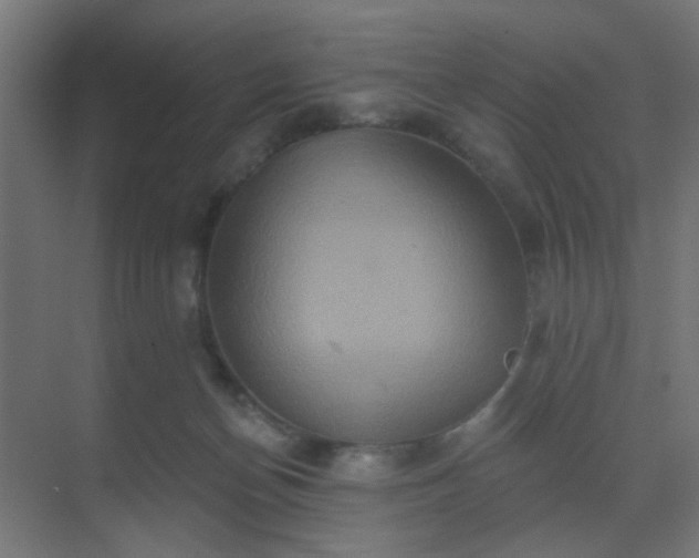 X0000069790174200605261706