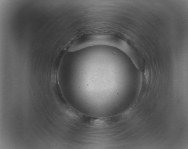 X0000069790180200605261706