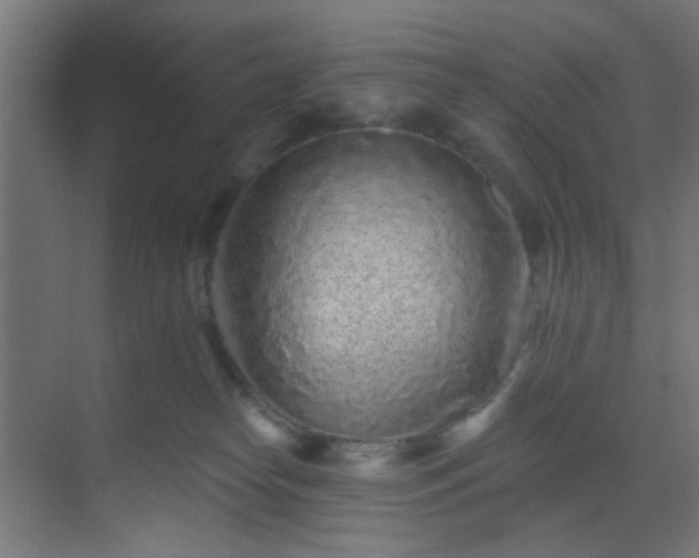 X0000069790182200605261706