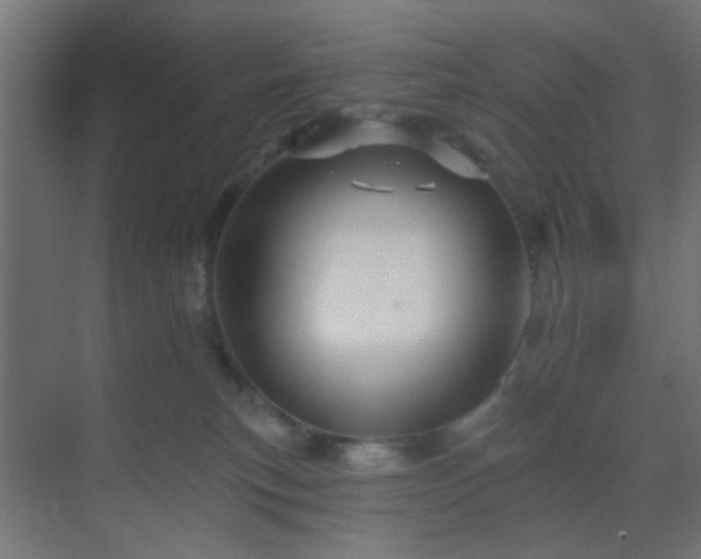 X0000069790183200605261706