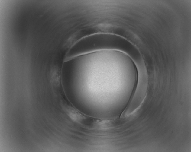 X0000069790186200605261706