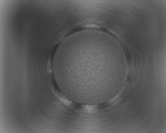 X0000069790187200605261706