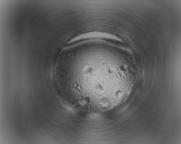 X0000069790189200605261706