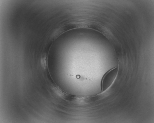 X0000069790190200605261706