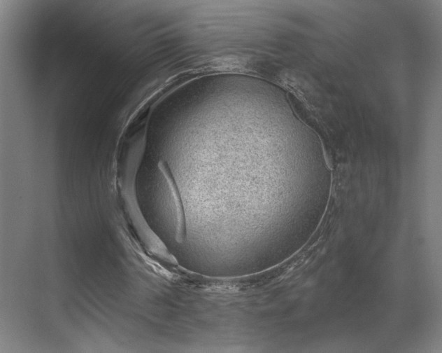 X0000069790194200605261705