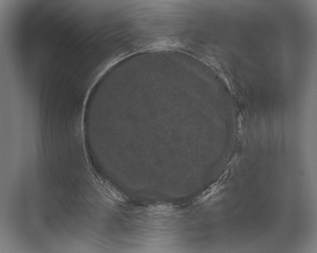 X0000069790196200605261705