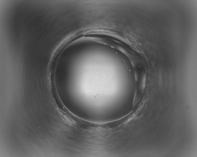 X0000069790197200605261705