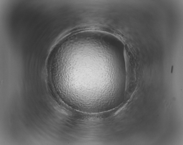 X0000069790198200605261705