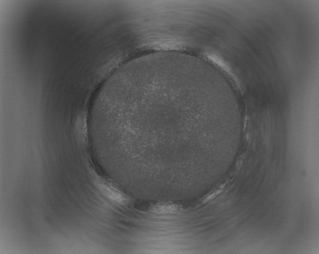 X0000069790202200605261705