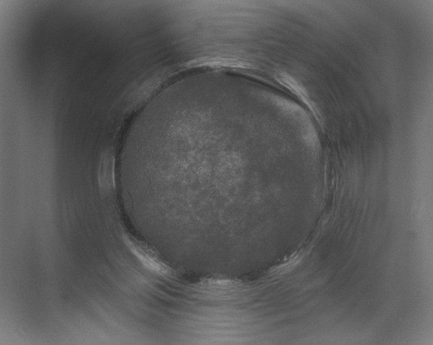 X0000069790205200605261705