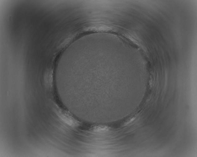 X0000069790206200605261705