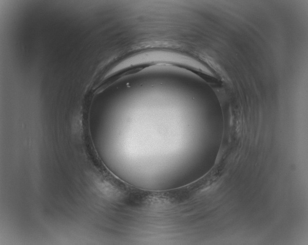 X0000069790207200605261705