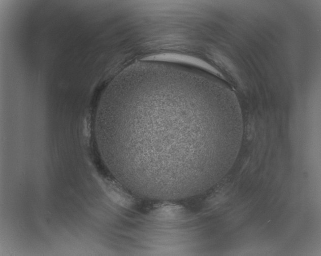 X0000069790210200605261705