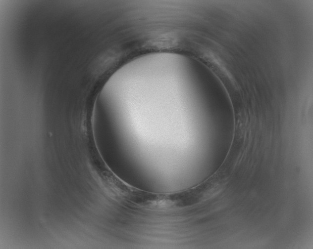 X0000069790212200605261705