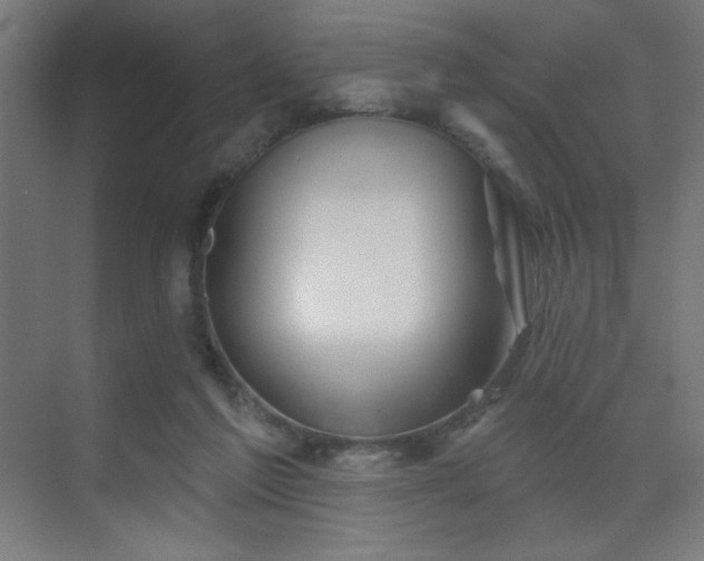 X0000069790213200605261705