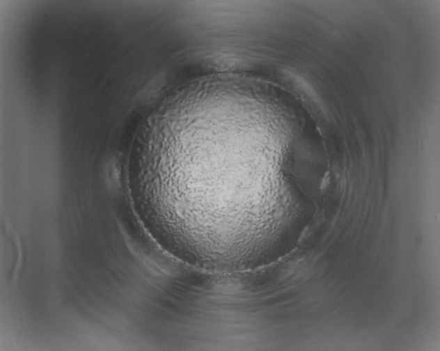 X0000069790214200605261705