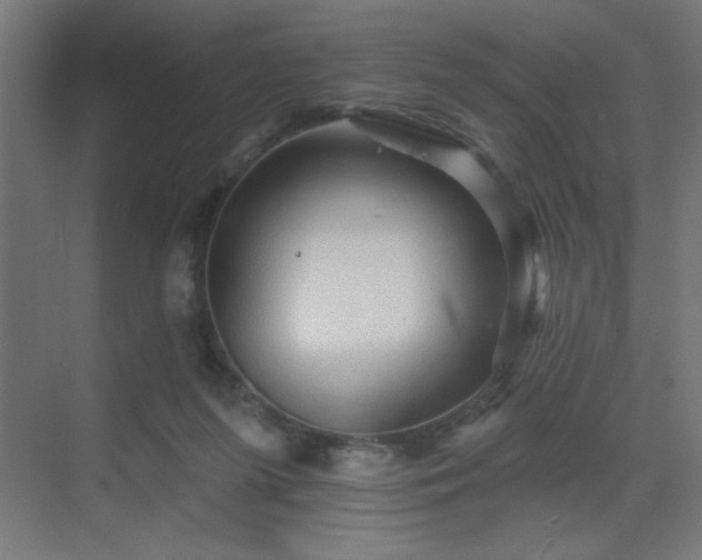 X0000069790215200605261705