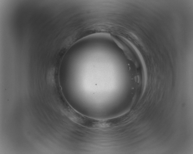 X0000069790217200605261705