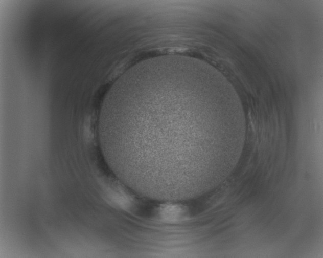 X0000069790218200605261705