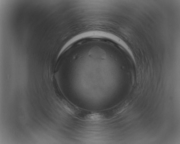 X0000069790219200605261705