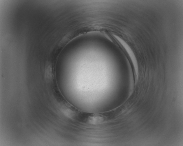 X0000069790220200605261705