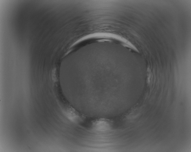 X0000069790224200605261705