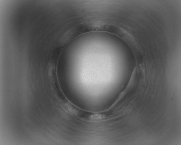 X0000069790225200605261705