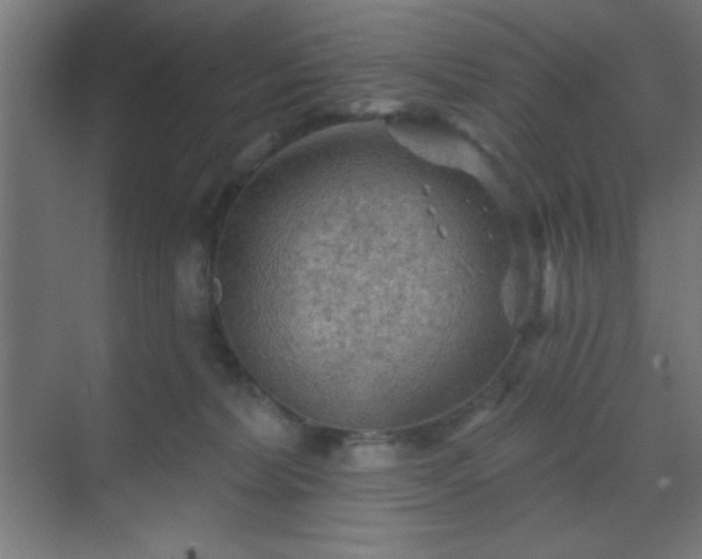 X0000069790228200605261705