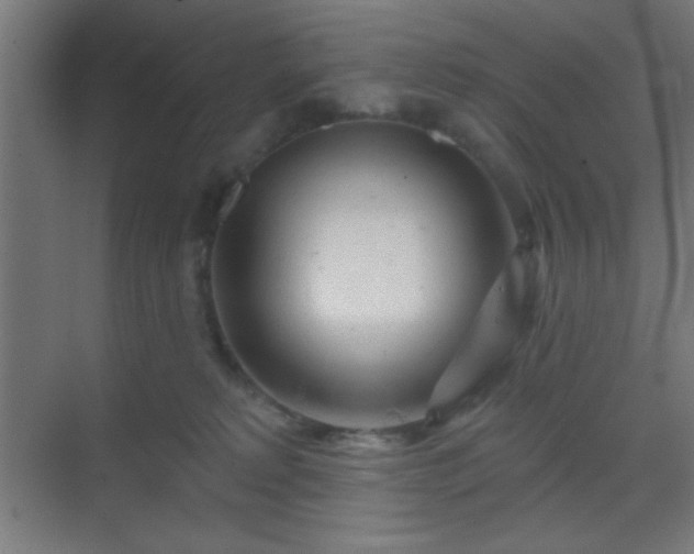 X0000069790229200605261705