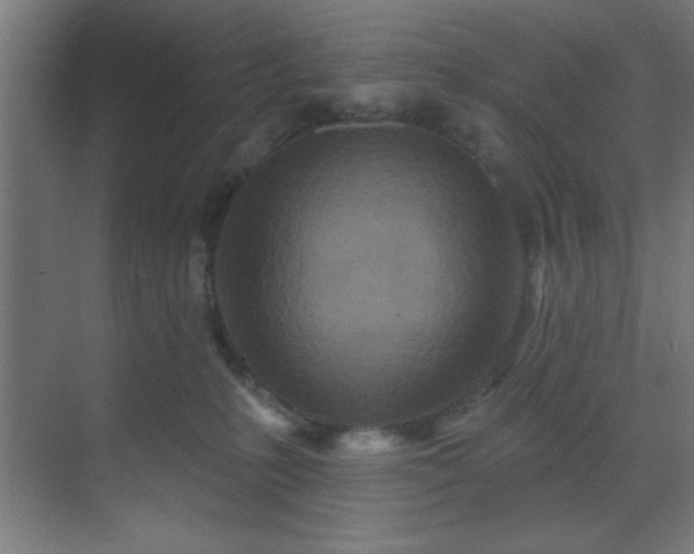 X0000069790231200605261705