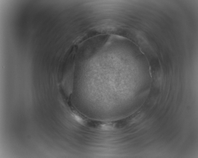 X0000069790232200605261705