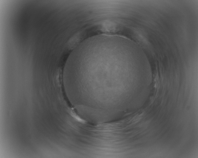 X0000069790233200605261705