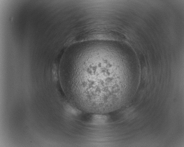 X0000069790234200605261705