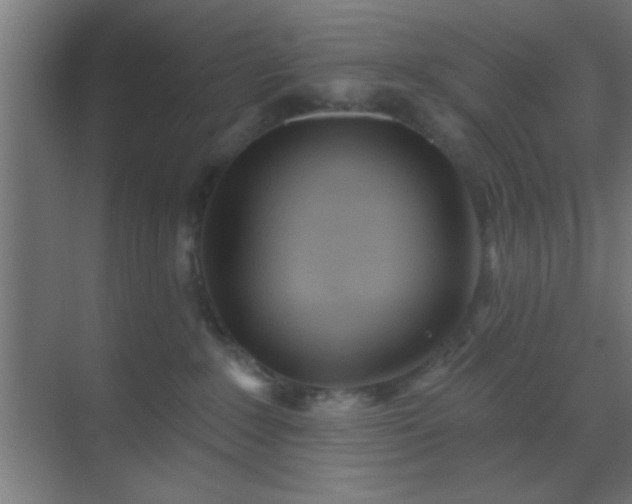 X0000069790235200605261705