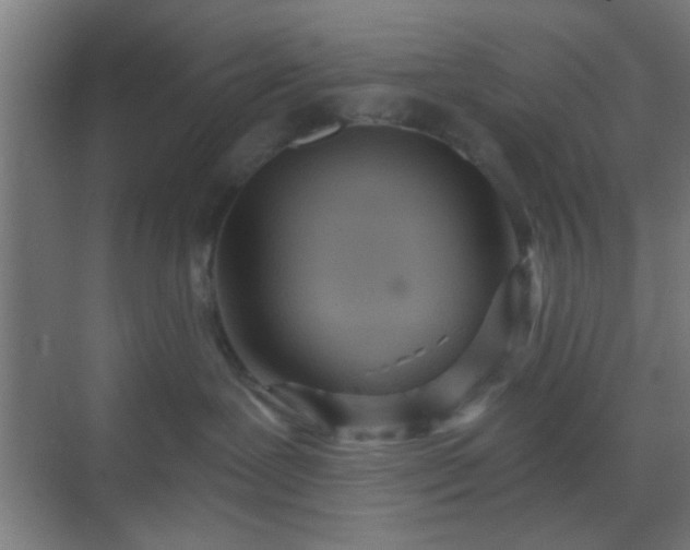 X0000069790239200605261705