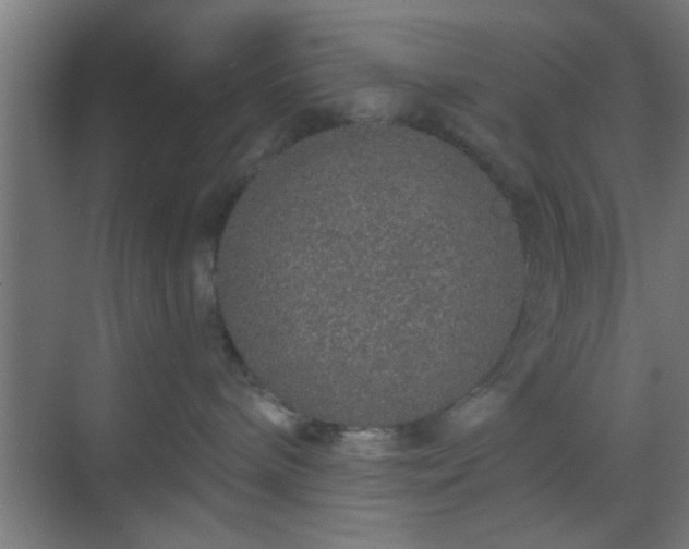 X0000069790240200605261705