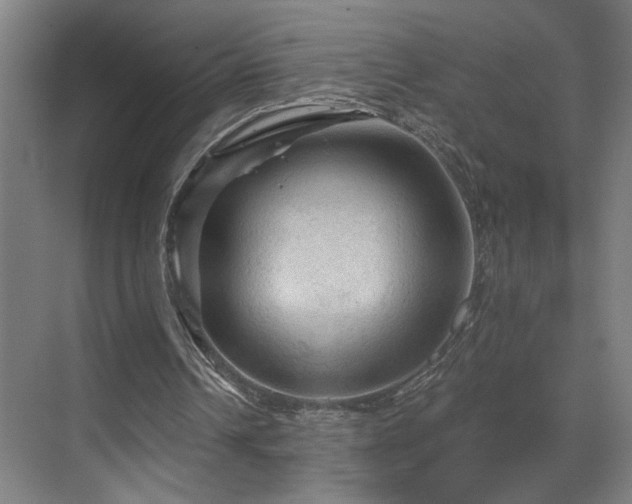 X0000069790242200605261704