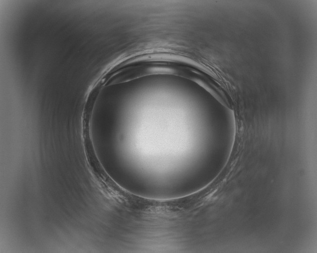 X0000069790244200605261704