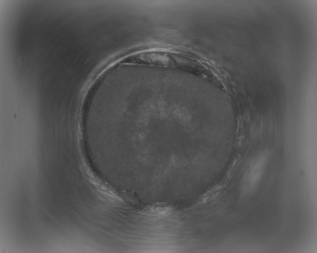 X0000069790247200605261704