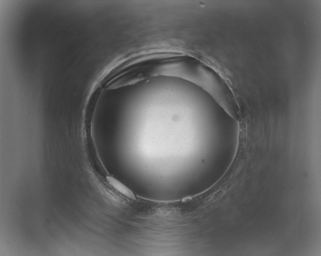 X0000069790248200605261704