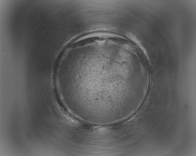 X0000069790249200605261704