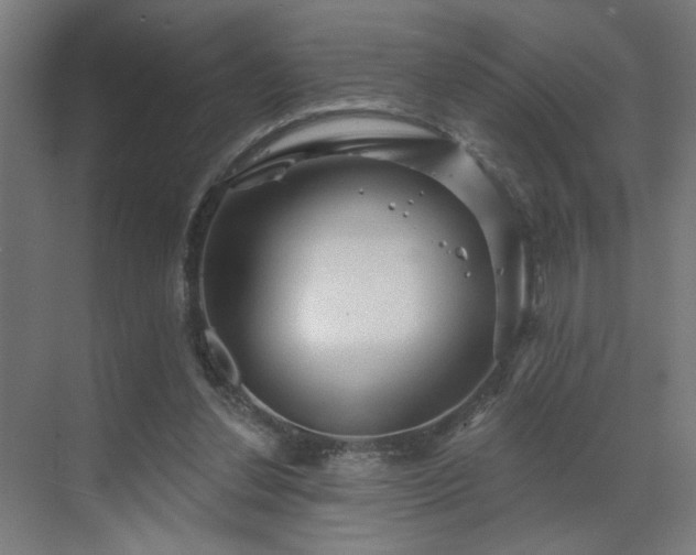 X0000069790252200605261704