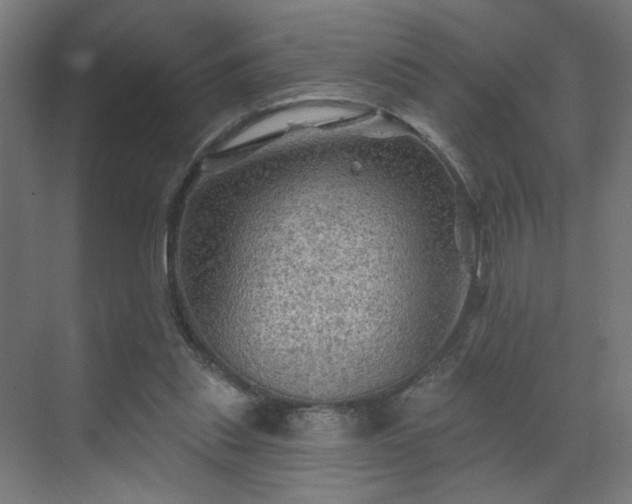 X0000069790253200605261704