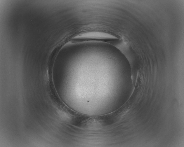 X0000069790254200605261704