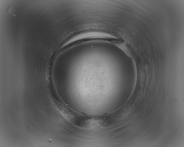 X0000069790255200605261704