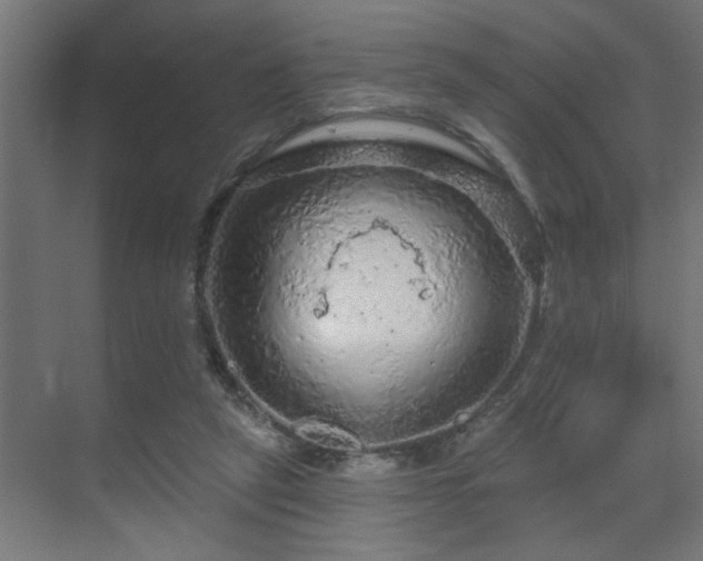 X0000069790257200605261704