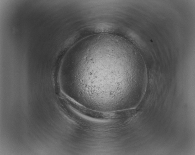 X0000069790258200605261704