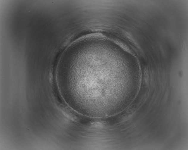 X0000069790259200605261704