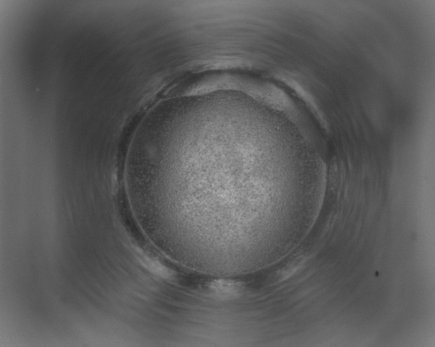 X0000069790261200605261704